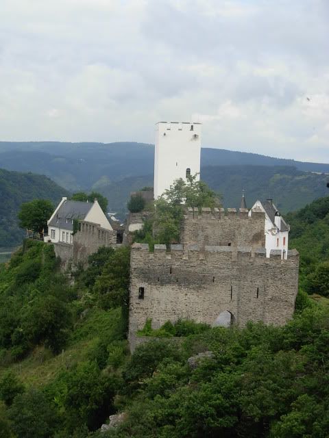 El Valle del Rin Central  - Blogs de Alemania - De Wellmich hasta Lahnstein (2)