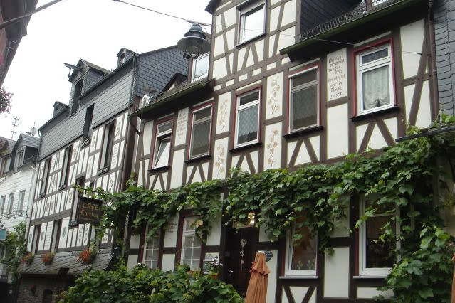El Valle del Rin Central  - Blogs de Alemania - Desde Rüdesheim hasta Wellmich (22)