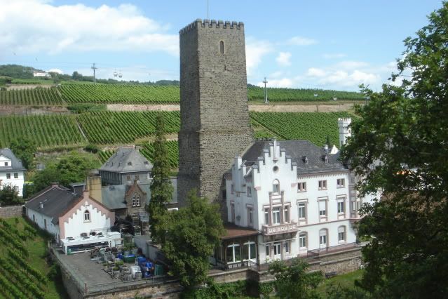 El Valle del Rin Central  - Blogs de Alemania - Desde Rüdesheim hasta Wellmich (5)
