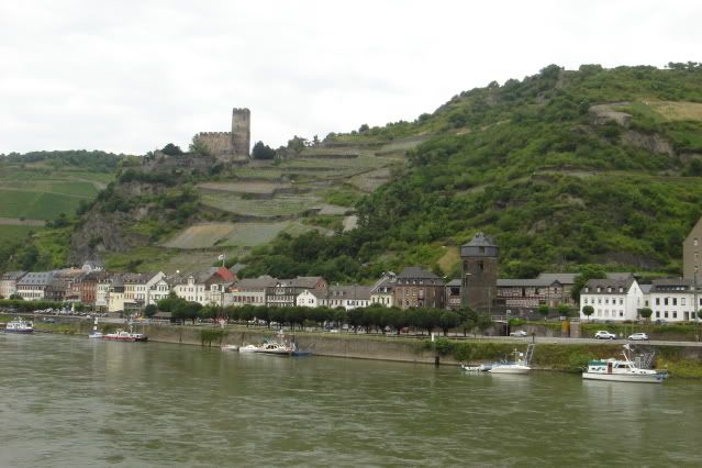 El Valle del Rin Central  - Blogs de Alemania - Desde Rüdesheim hasta Wellmich (12)