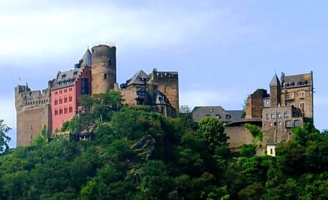 El Valle del Rin Central  - Blogs de Alemania - Desde St. Goar hasta Bingen y final de trayecto. (10)