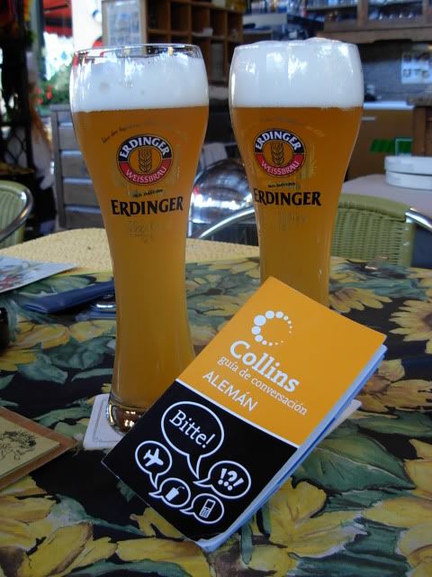 El Valle del Rin Central  - Blogs de Alemania - Desde St. Goar hasta Bingen y final de trayecto. (29)