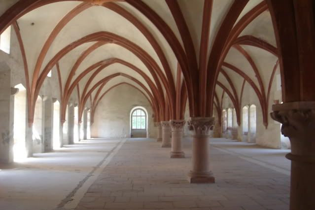 El Valle del Rin Central  - Blogs de Alemania - Desde St. Goar hasta Bingen y final de trayecto. (26)