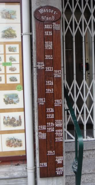 El Valle del Rin Central  - Blogs de Alemania - Desde St. Goar hasta Bingen y final de trayecto. (4)