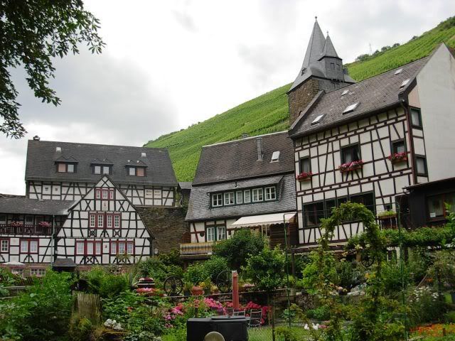 El Valle del Rin Central  - Blogs de Alemania - Desde St. Goar hasta Bingen y final de trayecto. (16)
