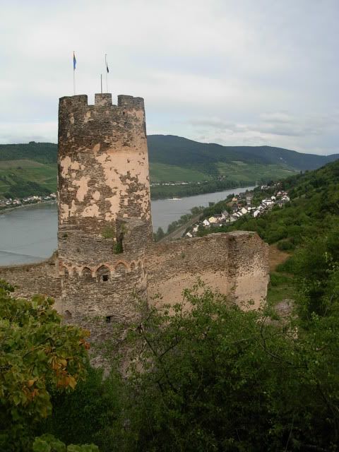 El Valle del Rin Central  - Blogs de Alemania - Desde St. Goar hasta Bingen y final de trayecto. (19)