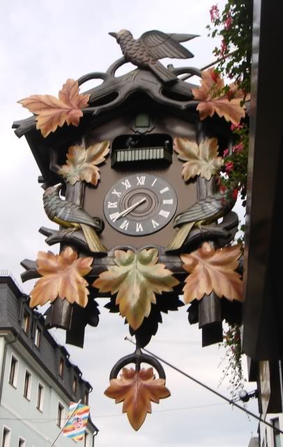 El Valle del Rin Central  - Blogs de Alemania - Desde St. Goar hasta Bingen y final de trayecto. (3)