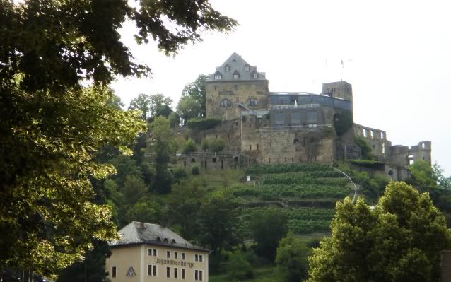 El Valle del Rin Central  - Blogs de Alemania - Desde St. Goar hasta Bingen y final de trayecto. (1)