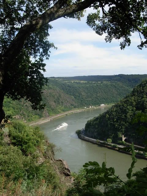El Valle del Rin Central  - Blogs de Alemania - Desde Rüdesheim hasta Wellmich (2)