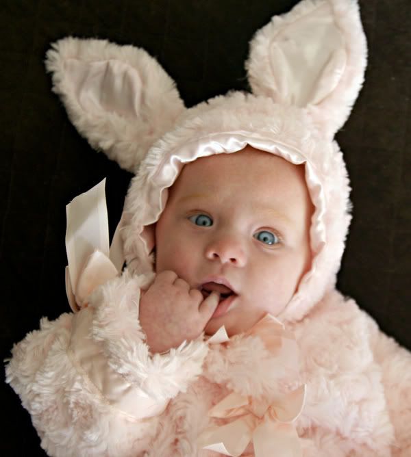 Sweet bunny