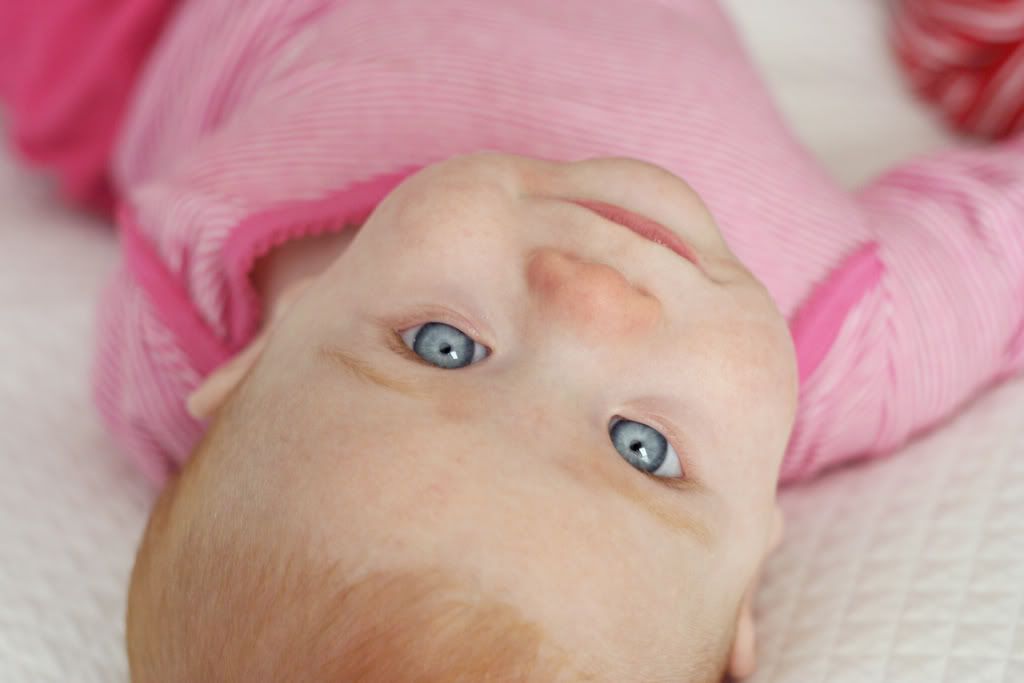 peek a boo