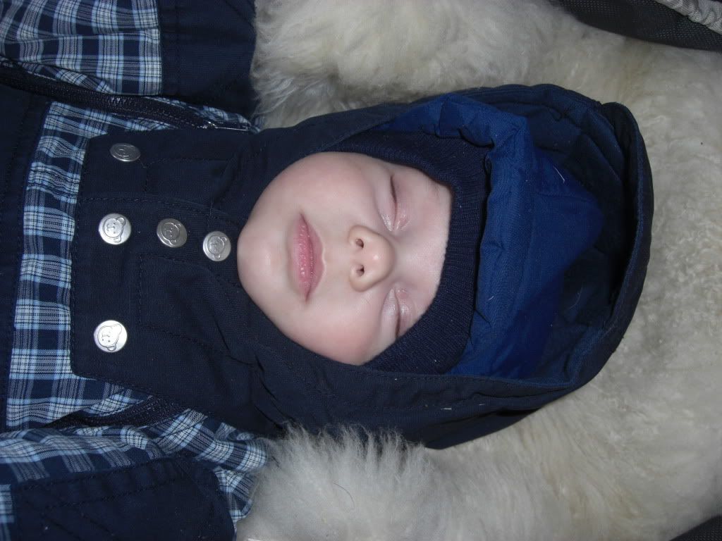  photo CIMG3744.jpg