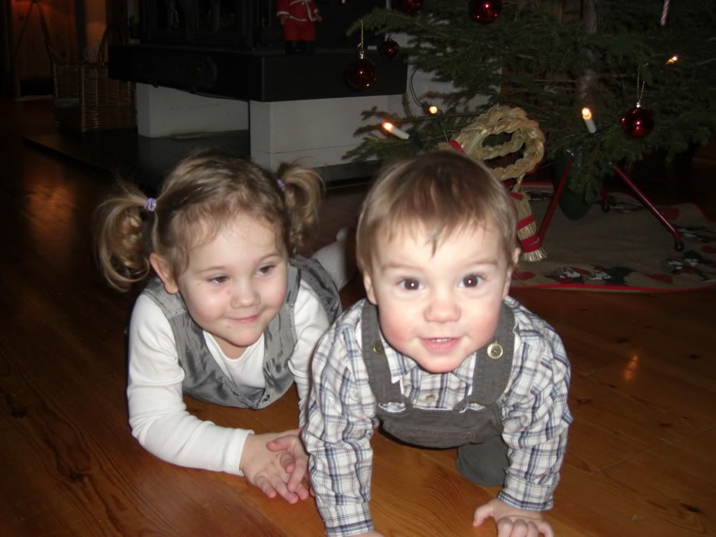 Blogg tillh&ouml;rande majken : Majken & Alfred, &Auml;ntligen vinter!