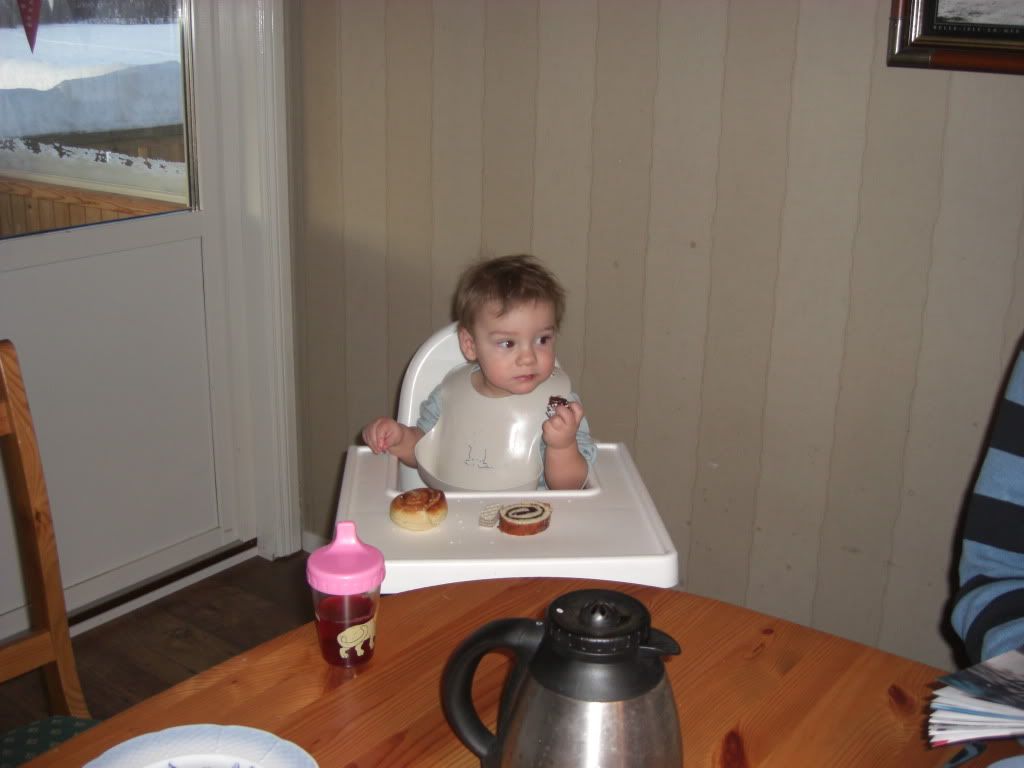 Blogg tillh&ouml;rande majken : Majken & Alfred, Alfred 1 &aring;r