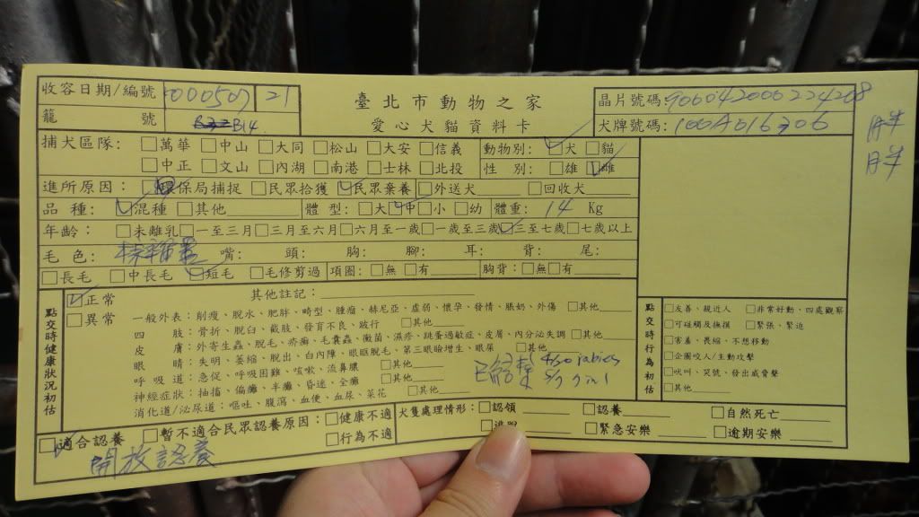 圖檔