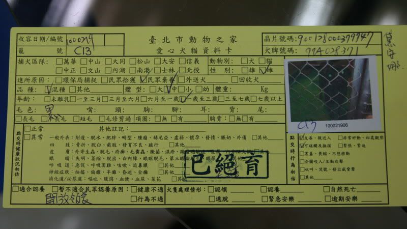 圖檔