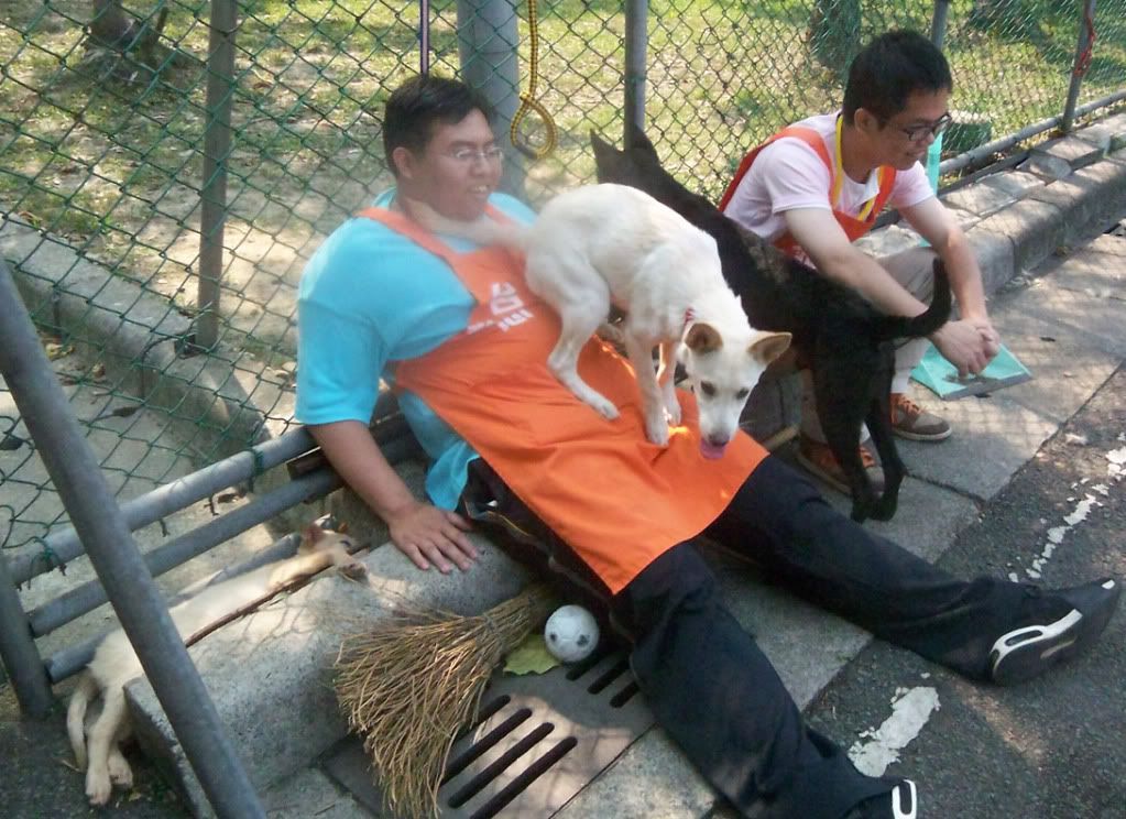 圖檔