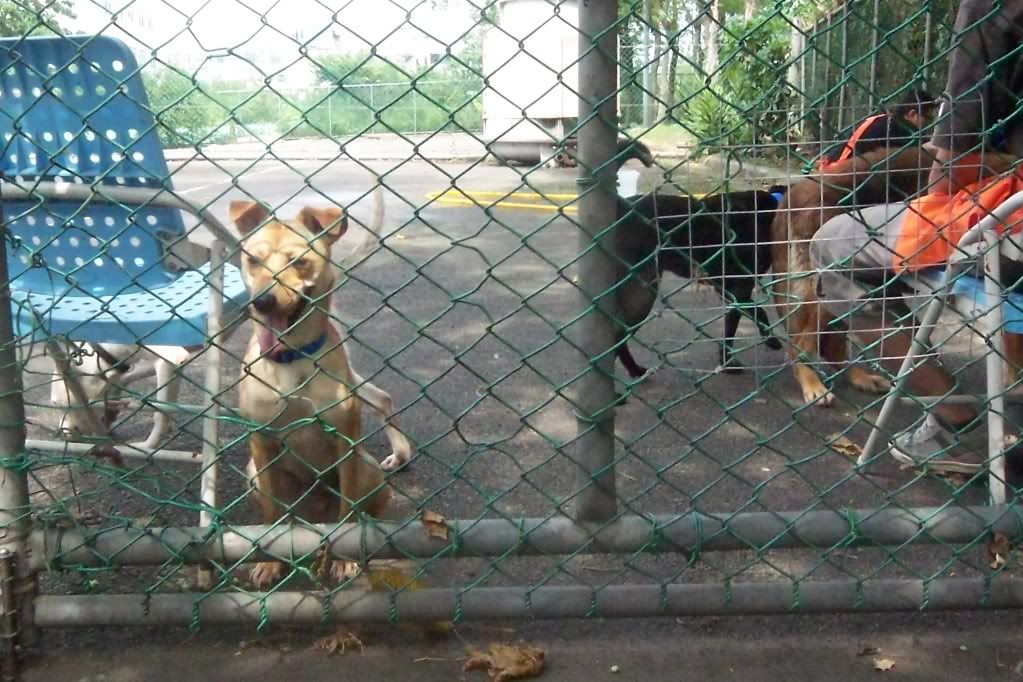 圖檔