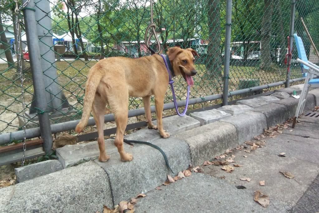 圖檔