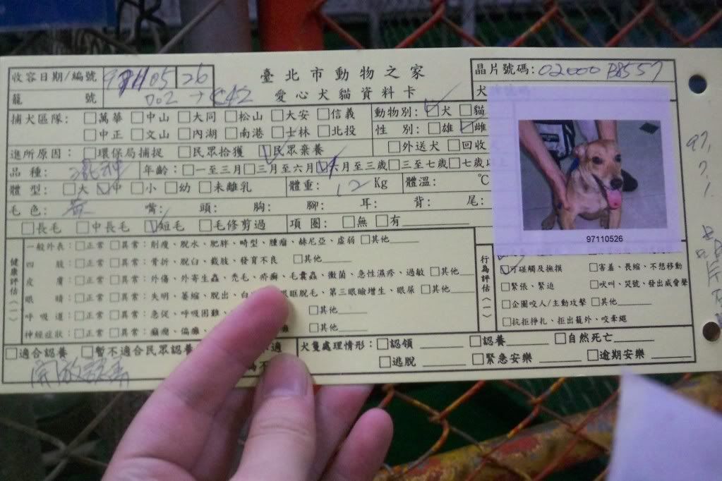 圖檔