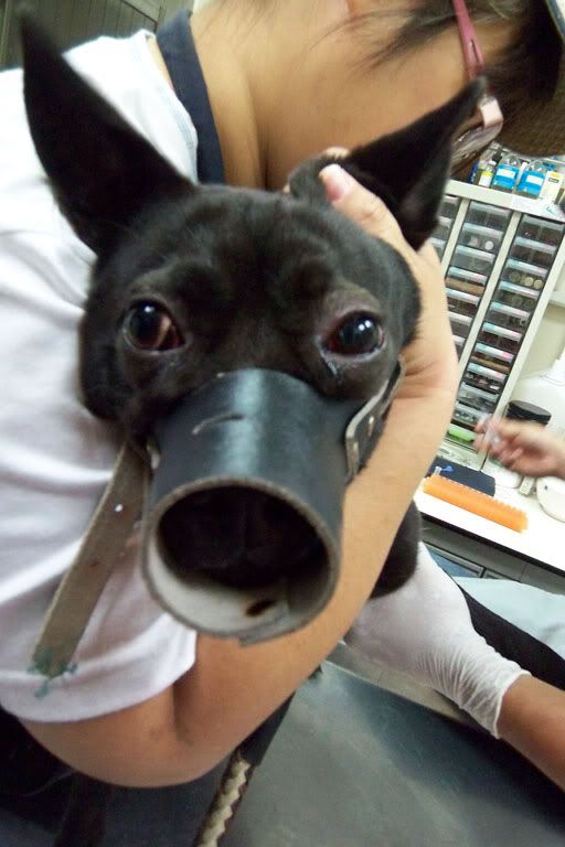 圖檔