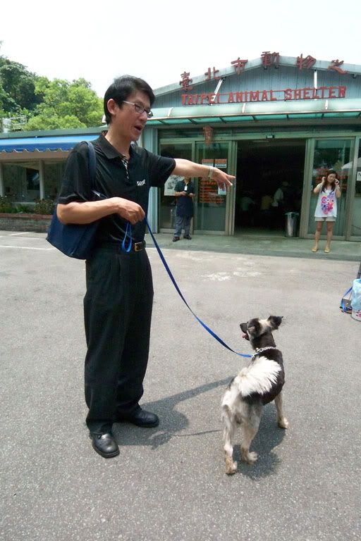 圖檔