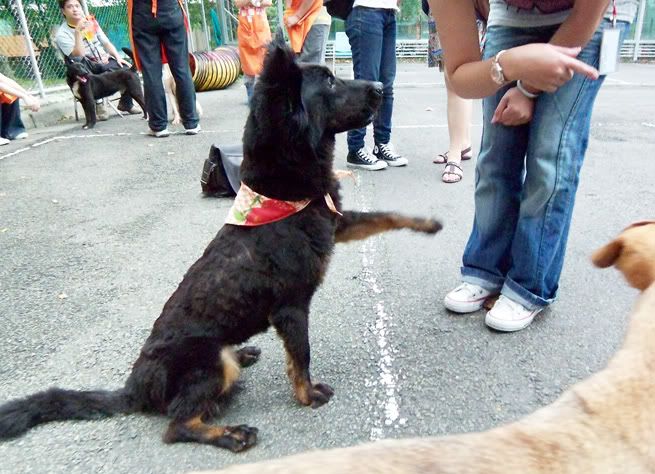 圖檔