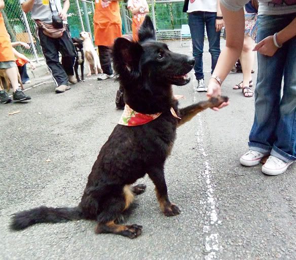 圖檔