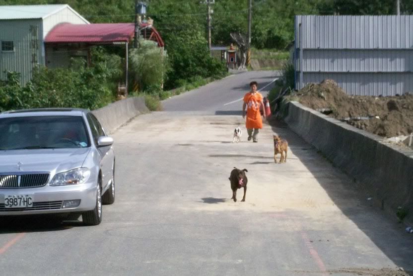 圖檔