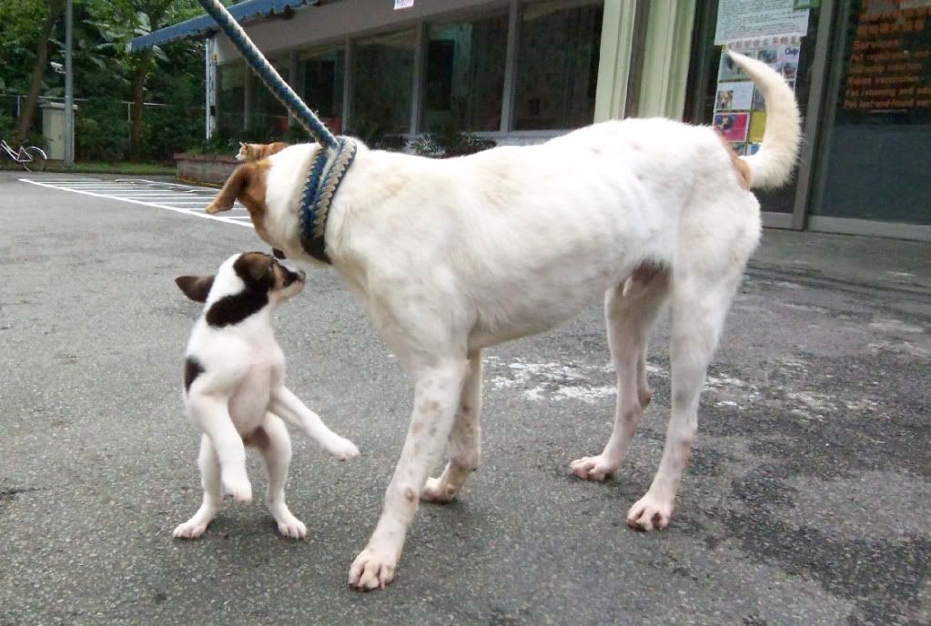 圖檔