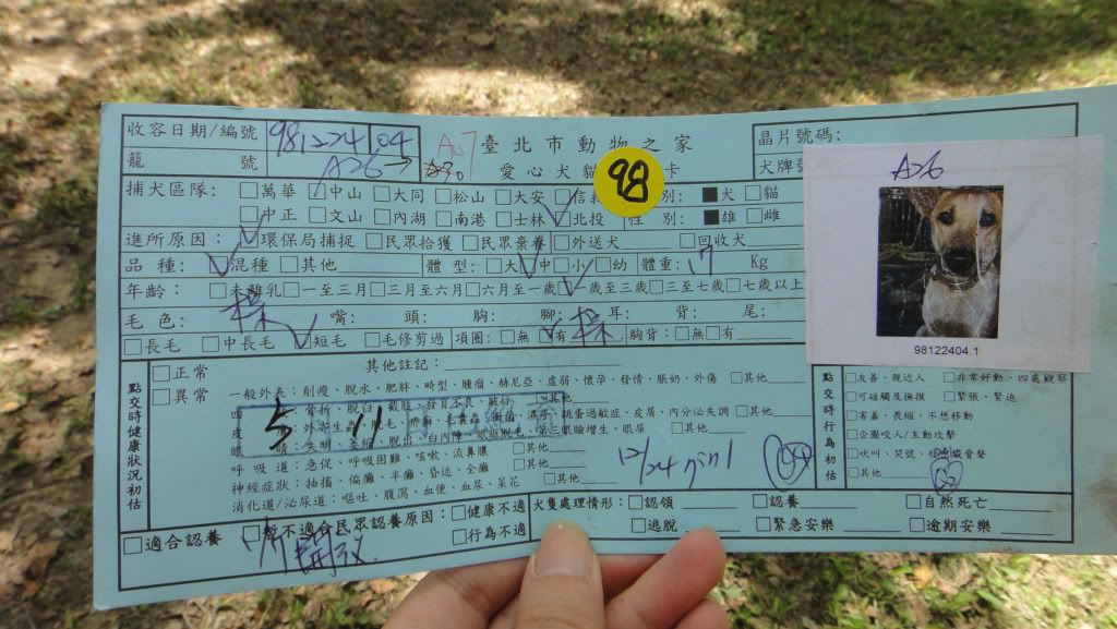 圖檔