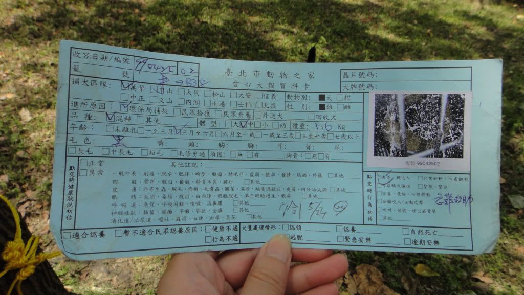 圖檔