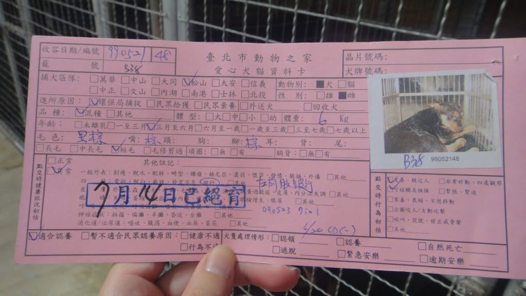圖檔