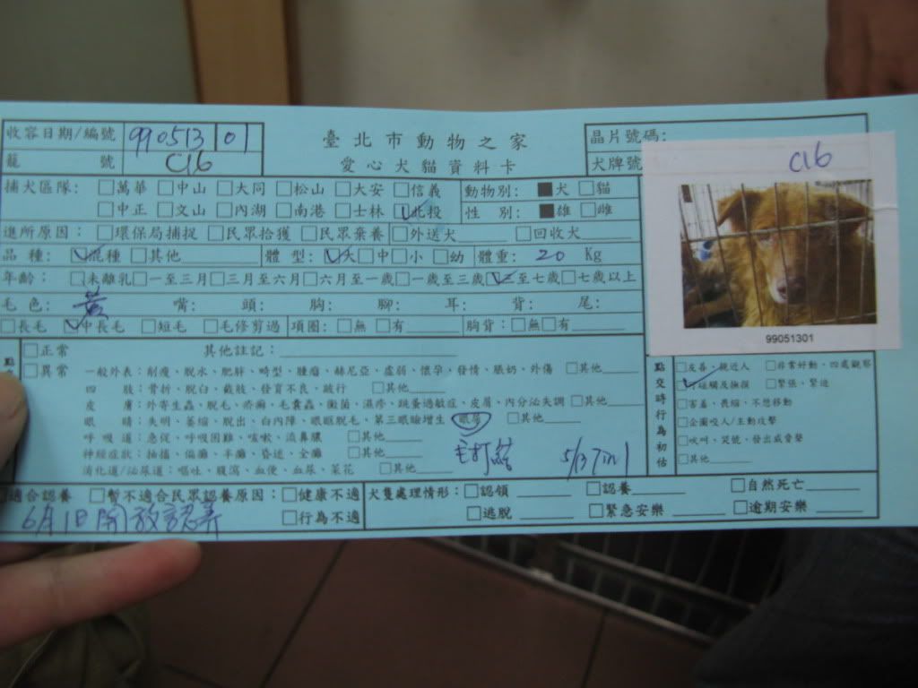 圖檔