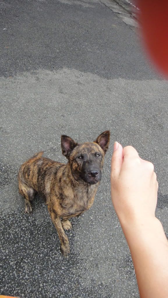 圖檔