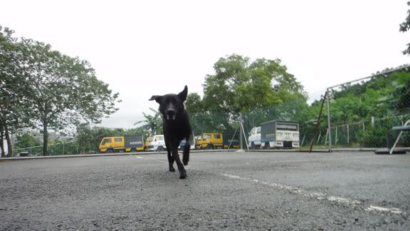 圖檔